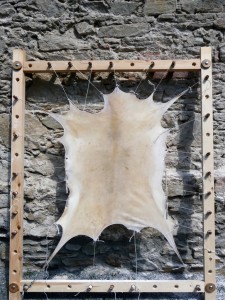 Calf skin stretched on a frame