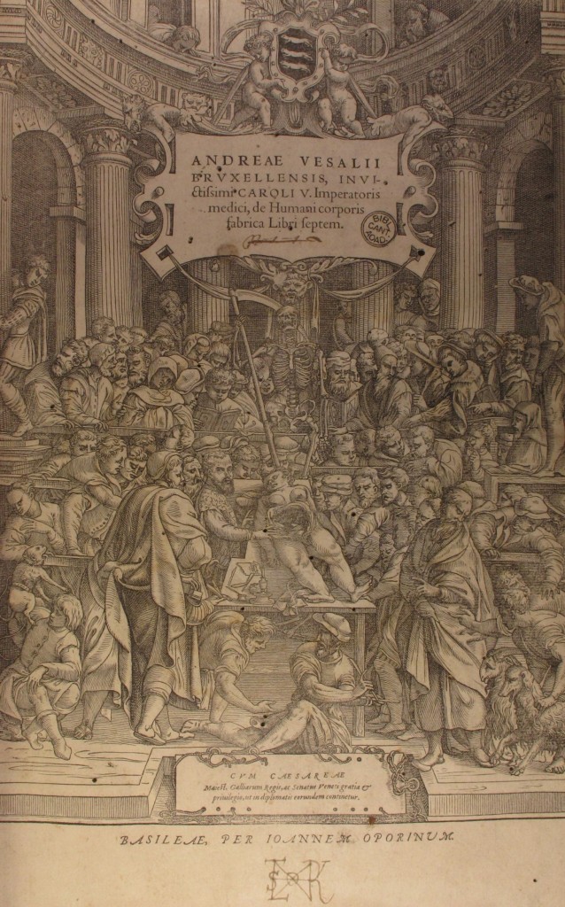 Vesalius