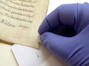 Parchment sampling