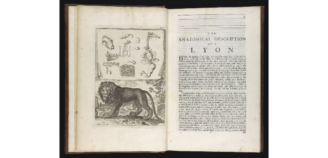  M.14.41, pp. 2–3 (Royal Library) 