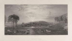Petworth Park