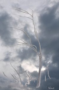 Geneviève Guetemme, 'Wind'