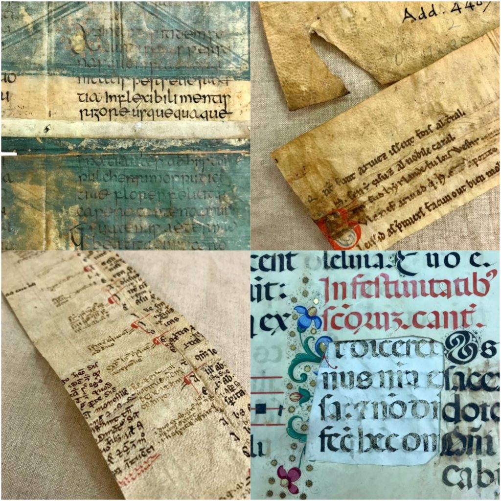 clockwise from top left are MS Add. 4219, a fragment from Aldhelm’s De Uirginitate stained green and used as a book cover; MS Add. 4407 (1), one of only two known witnesses to the Anglo-Norman Roman de Horn; MS Add. 4250, an oversize liturgical book with illuminated initials excised; MS Add. 4407 (2), a Latin grammar in hexametric verse.