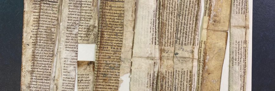 Fragmentary strips of medieval manuscripts